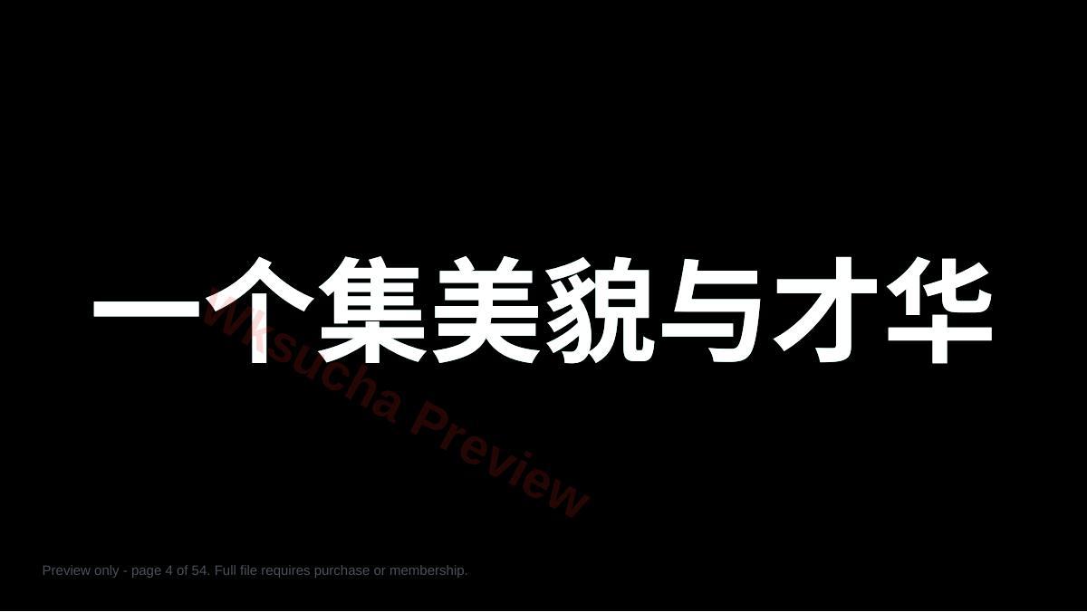 预览第 4 页