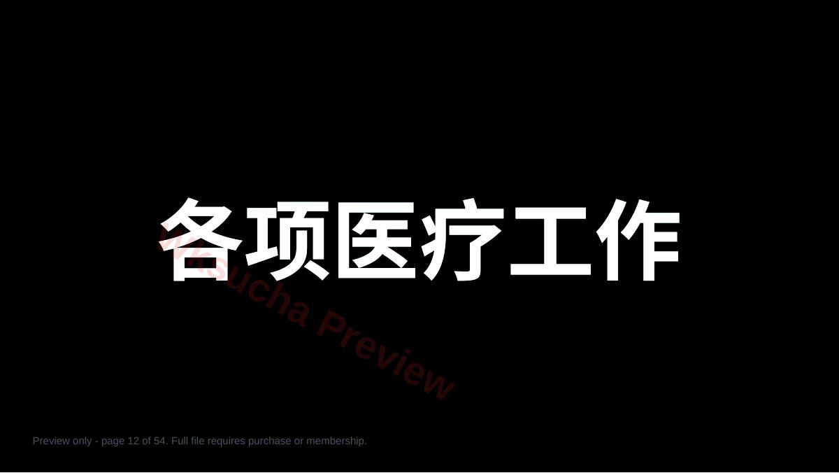 预览第 12 页
