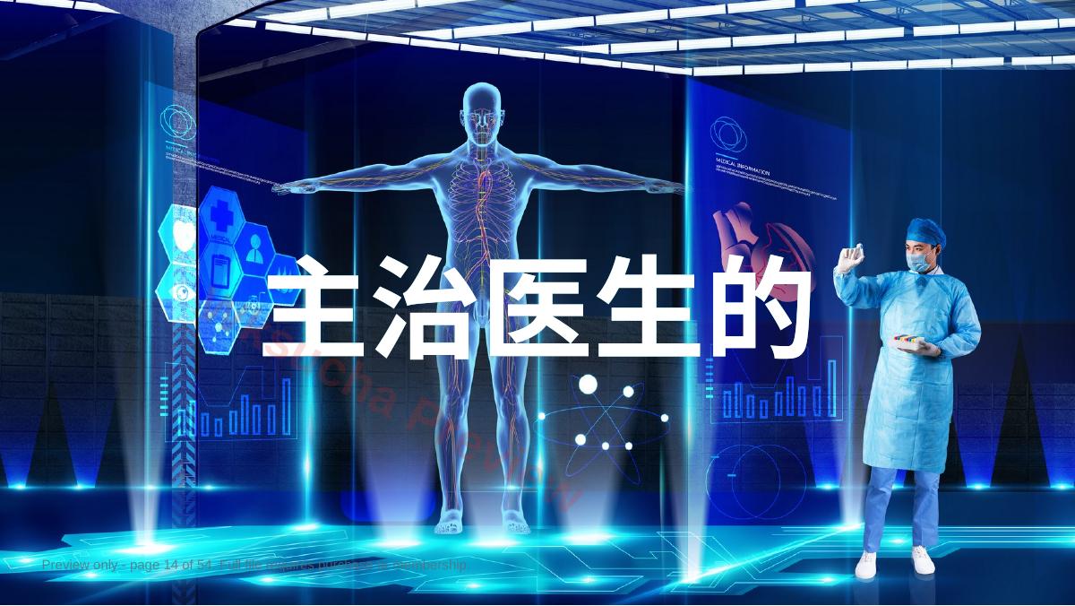 预览第 14 页