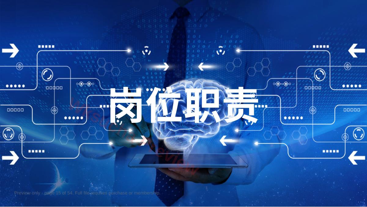 预览第 15 页