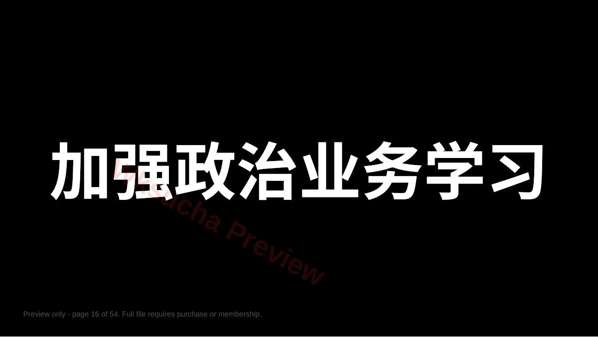 预览第 16 页