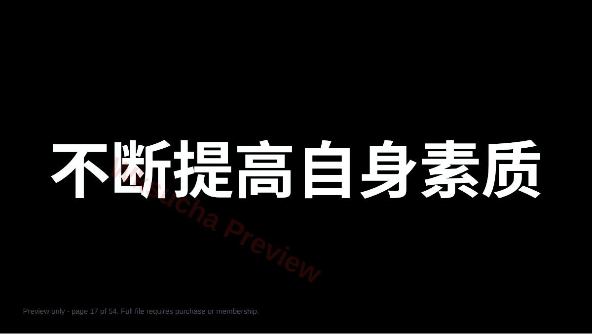 预览第 17 页