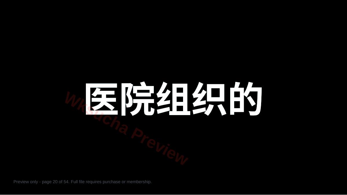 预览第 20 页