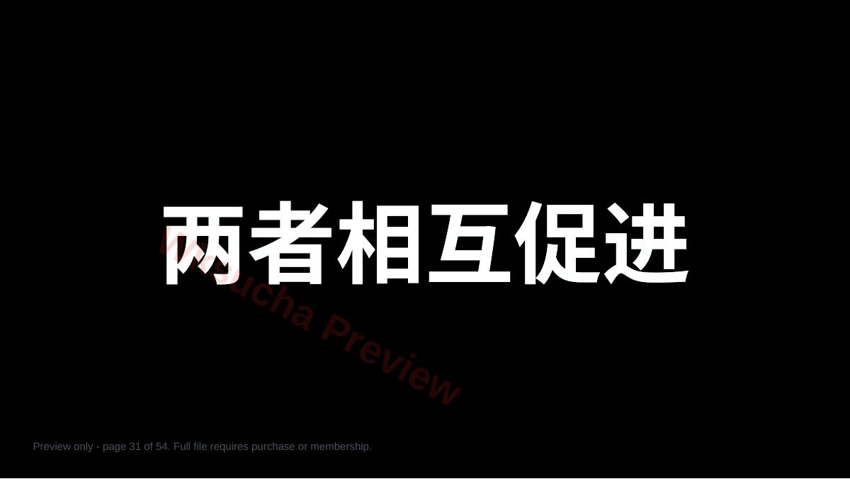 预览第 31 页