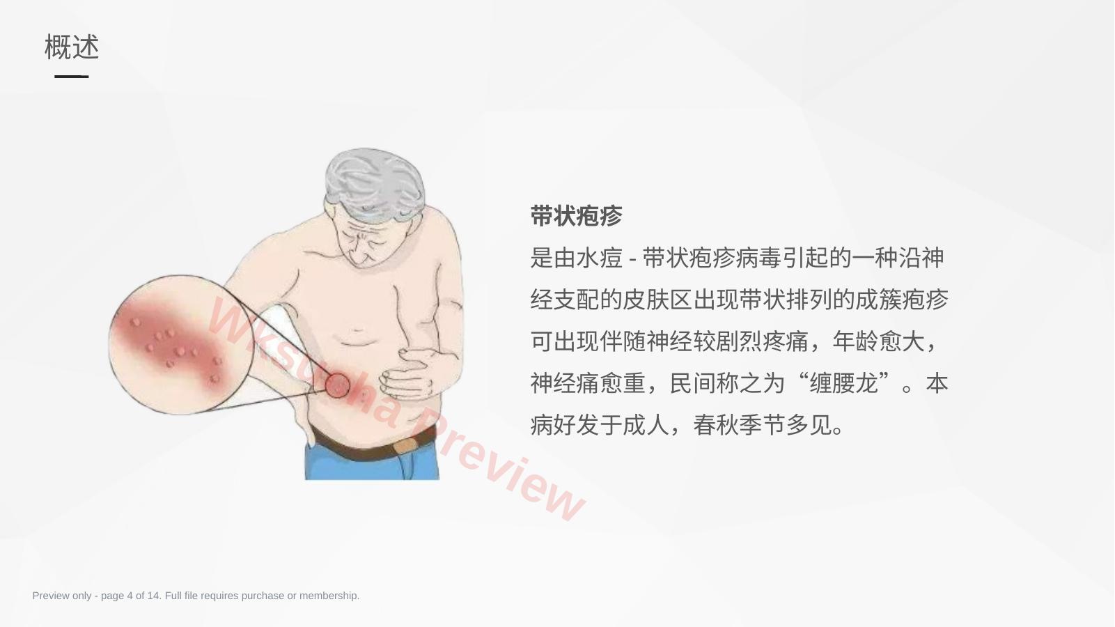预览第 4 页