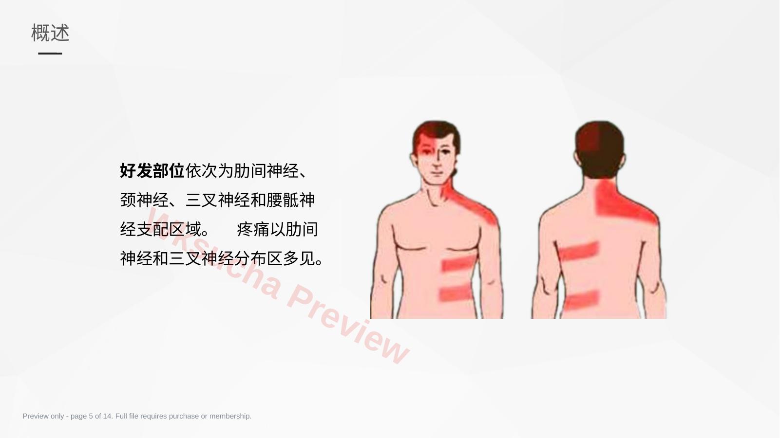 预览第 5 页