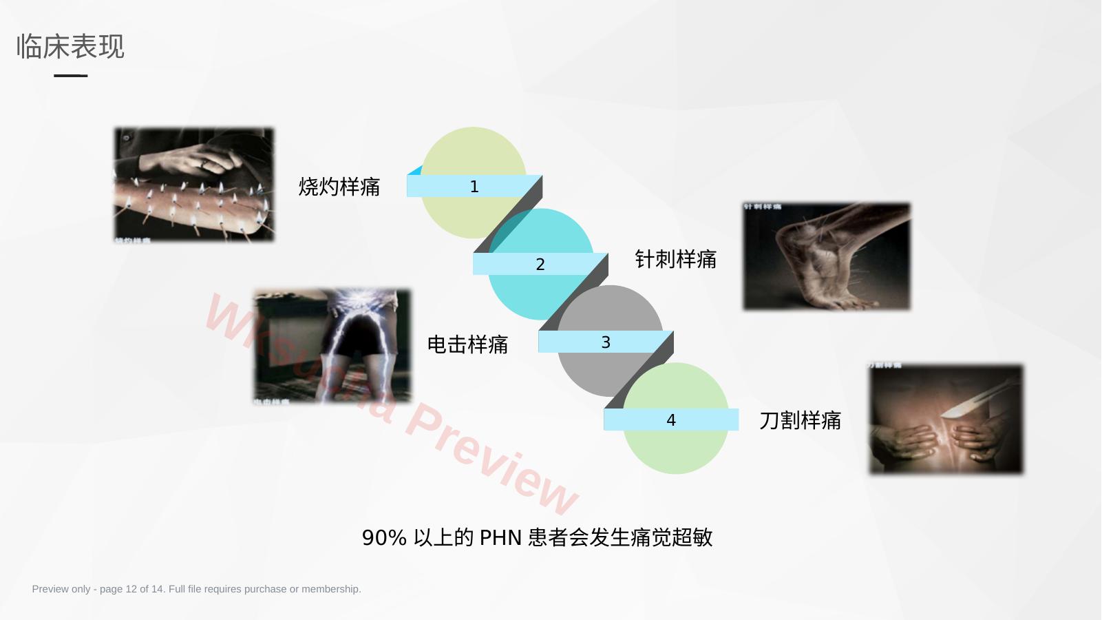 预览第 12 页
