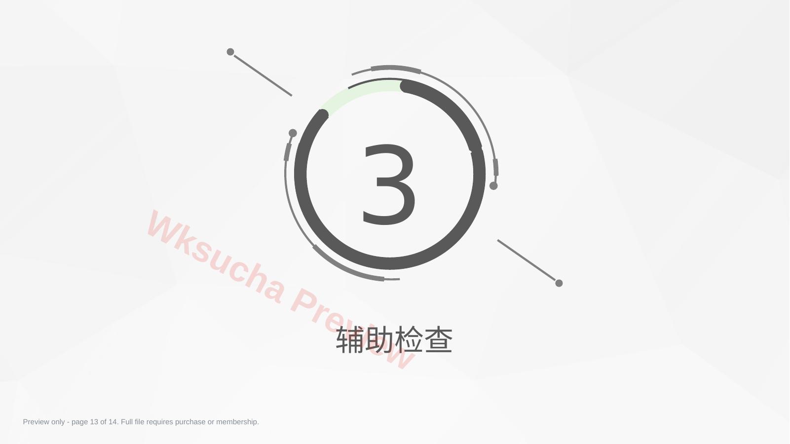 预览第 13 页