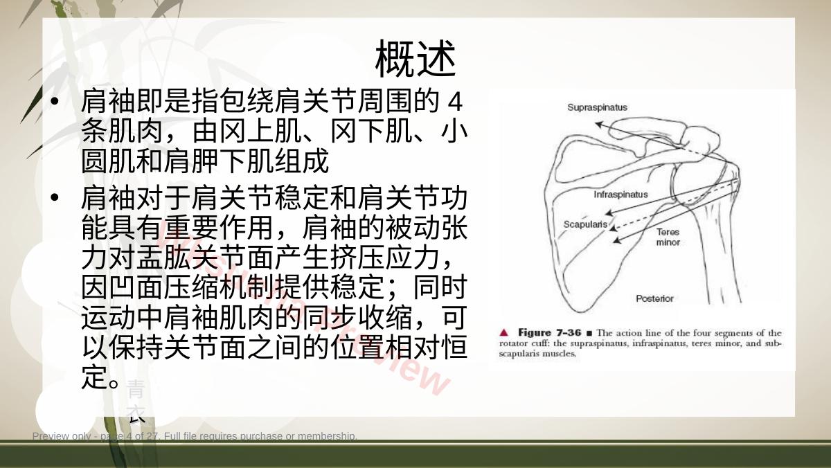 预览第 4 页
