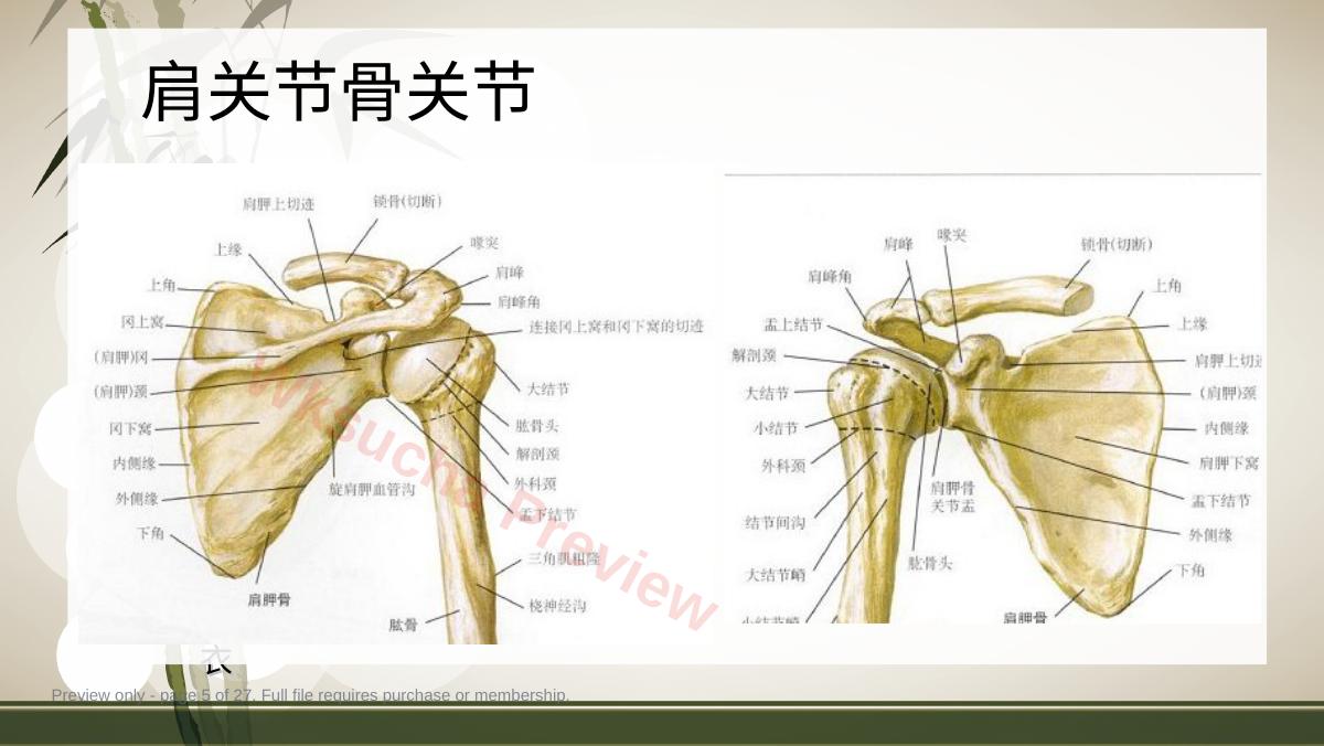 预览第 5 页