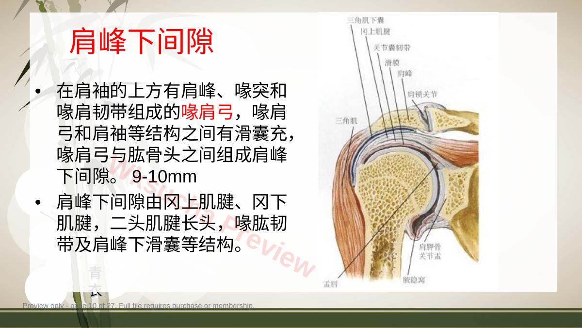 预览第 10 页
