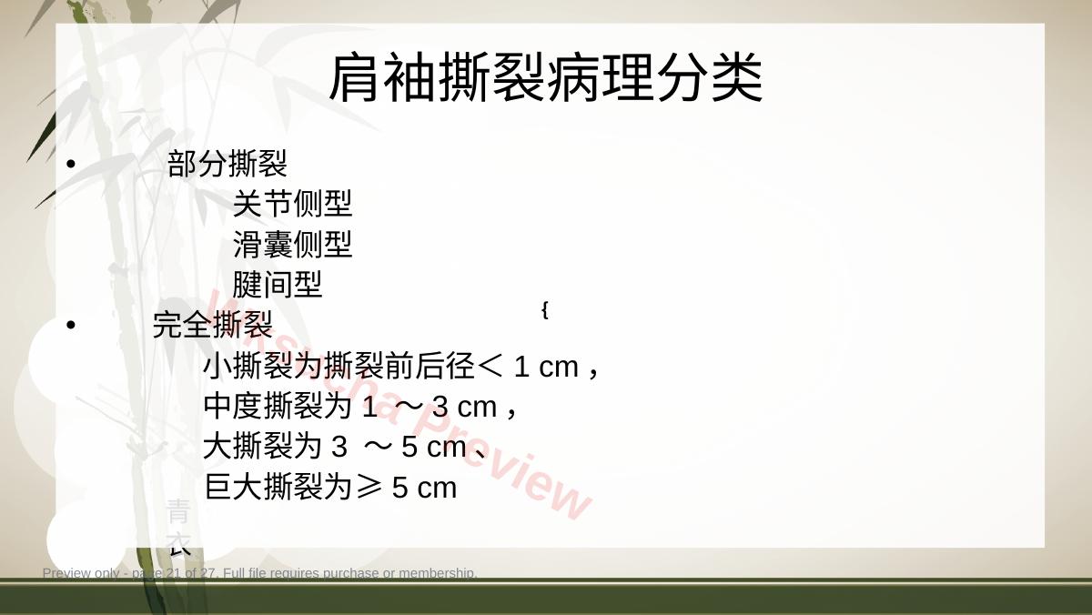 预览第 21 页