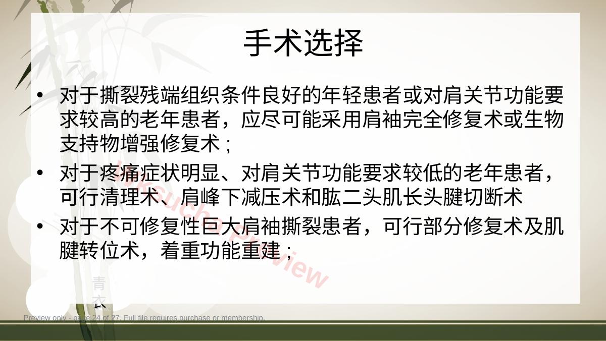 预览第 24 页
