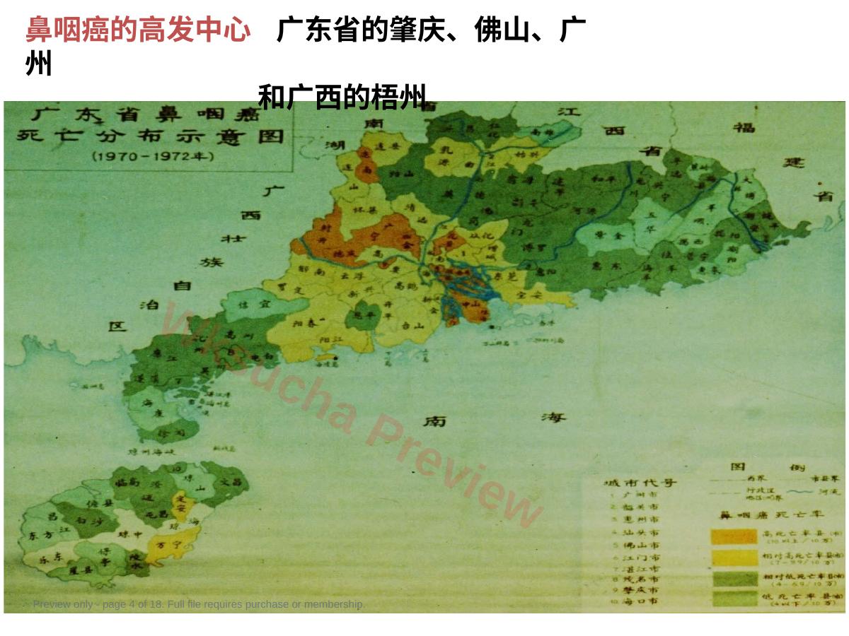 预览第 4 页