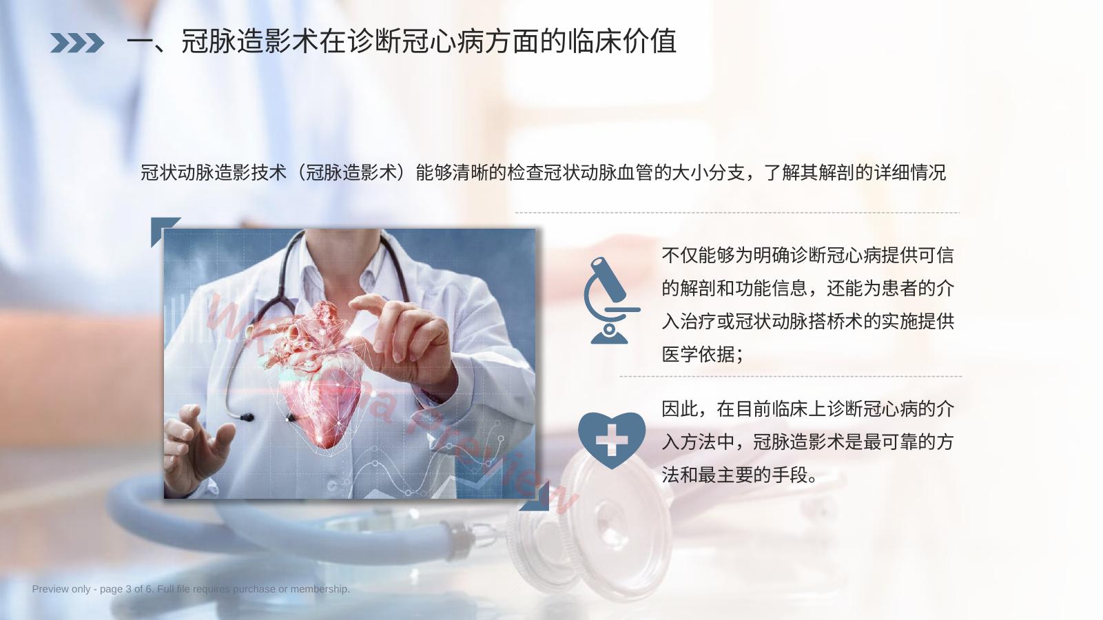预览第 3 页