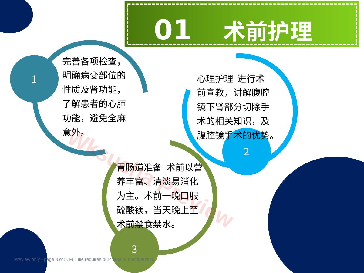 预览第 3 页