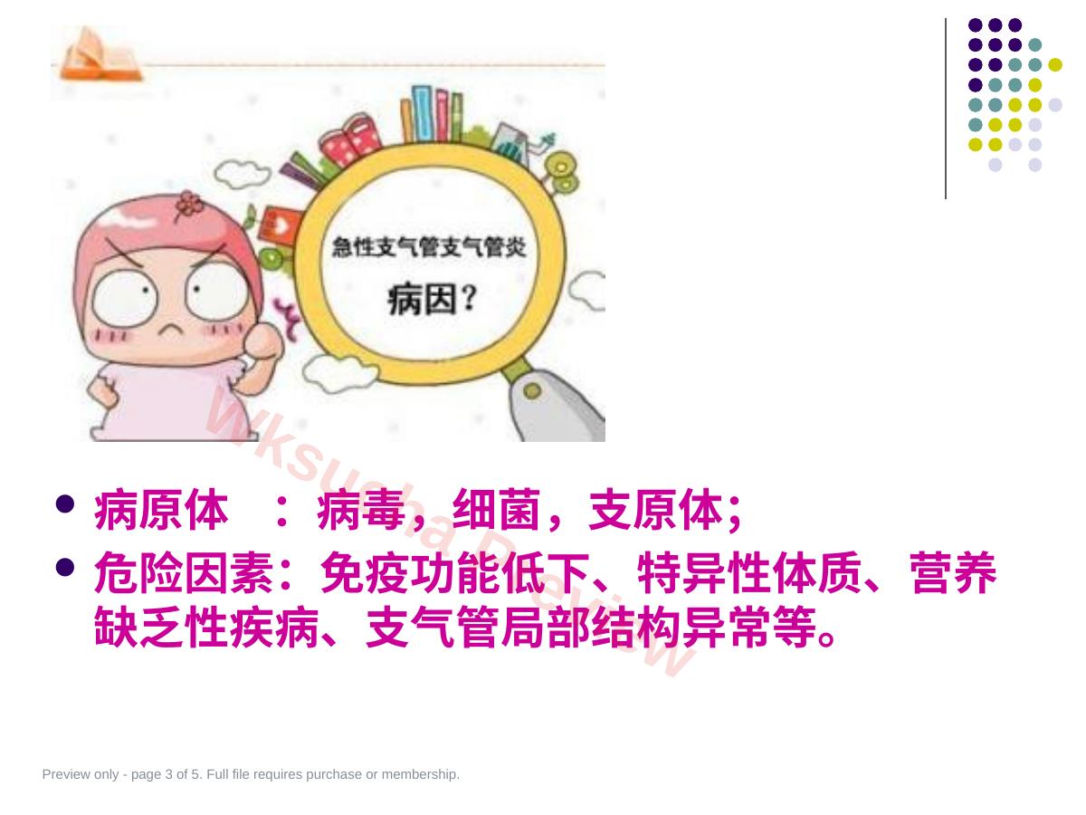 预览第 3 页