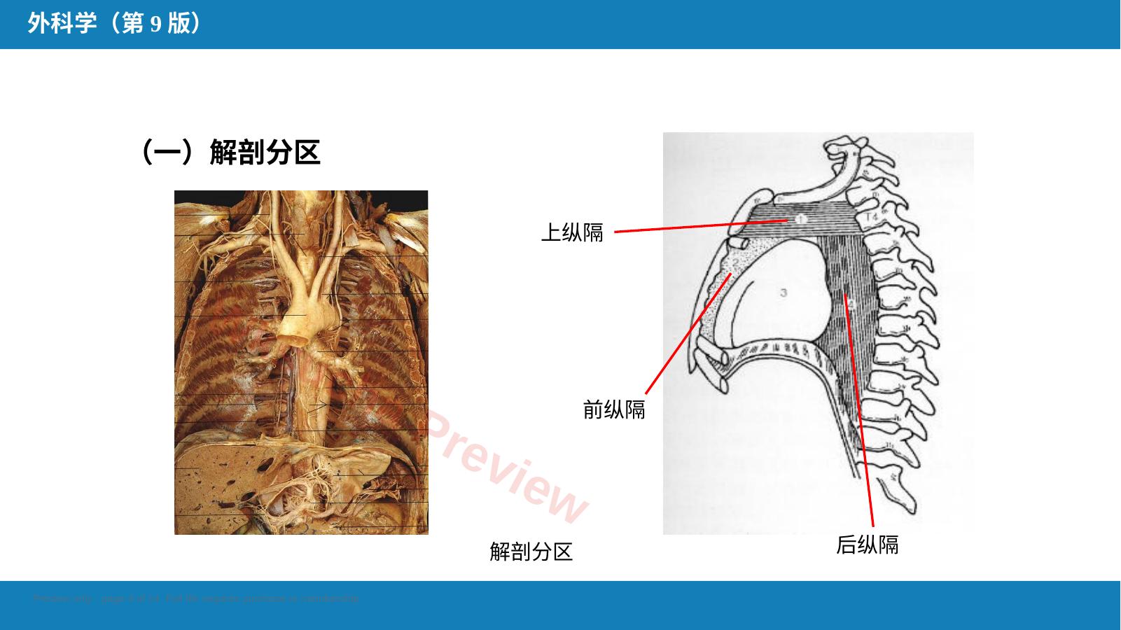 预览第 4 页