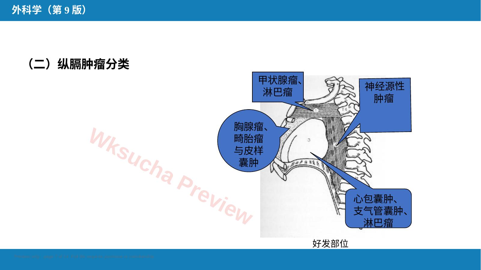 预览第 7 页