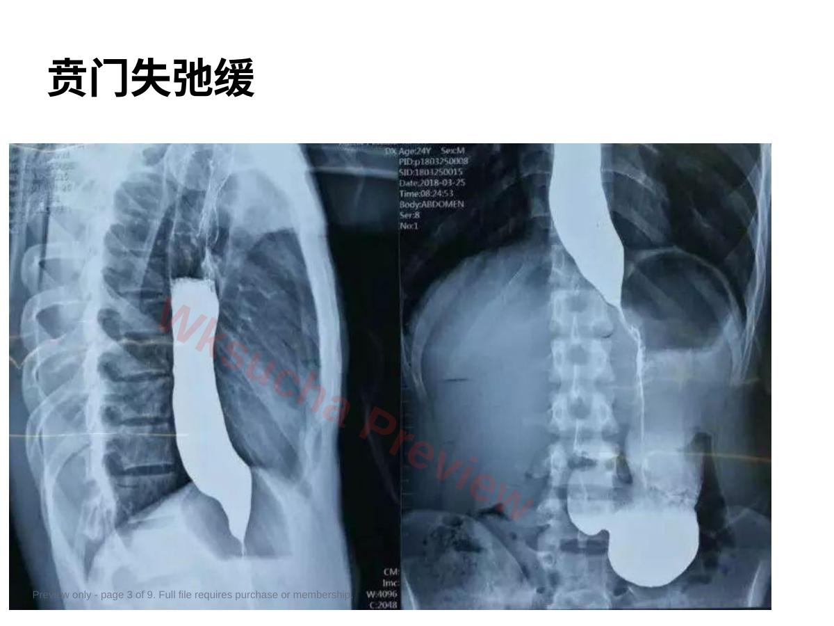 预览第 3 页