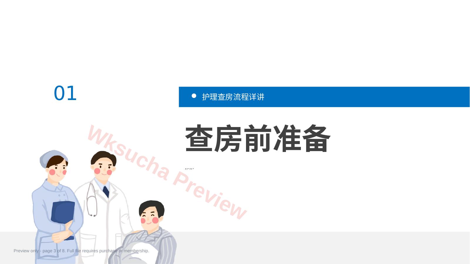预览第 3 页