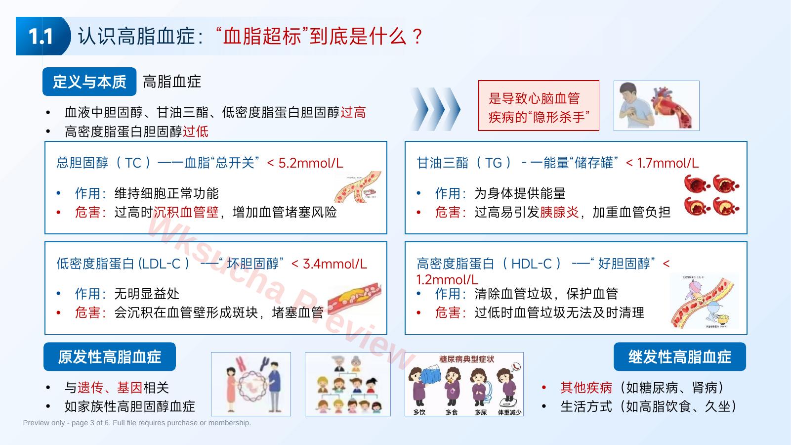 预览第 3 页