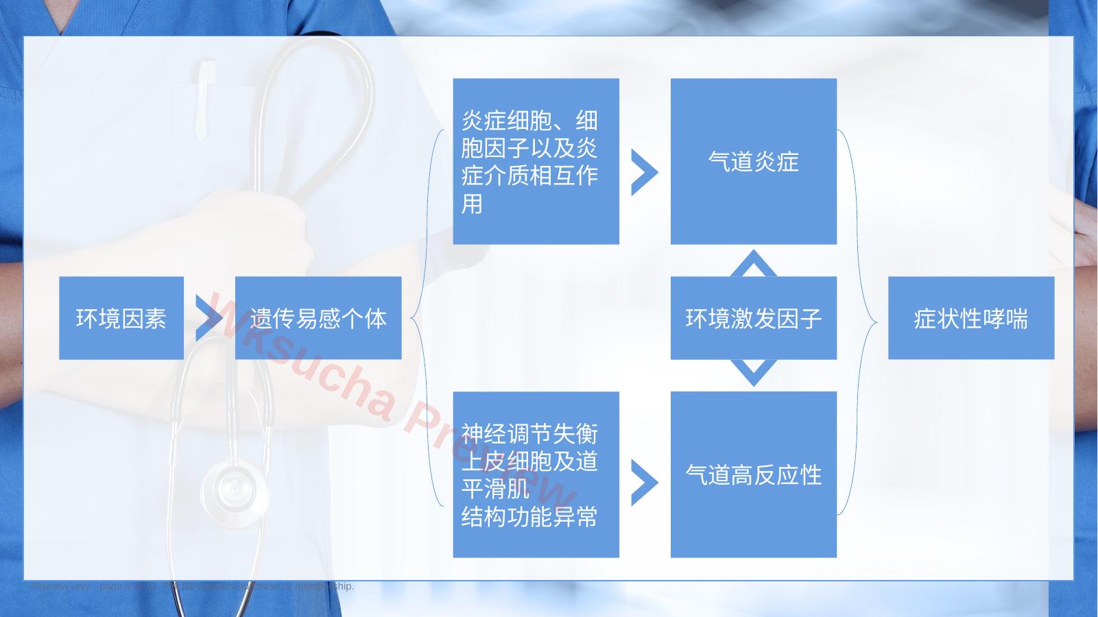 预览第 4 页
