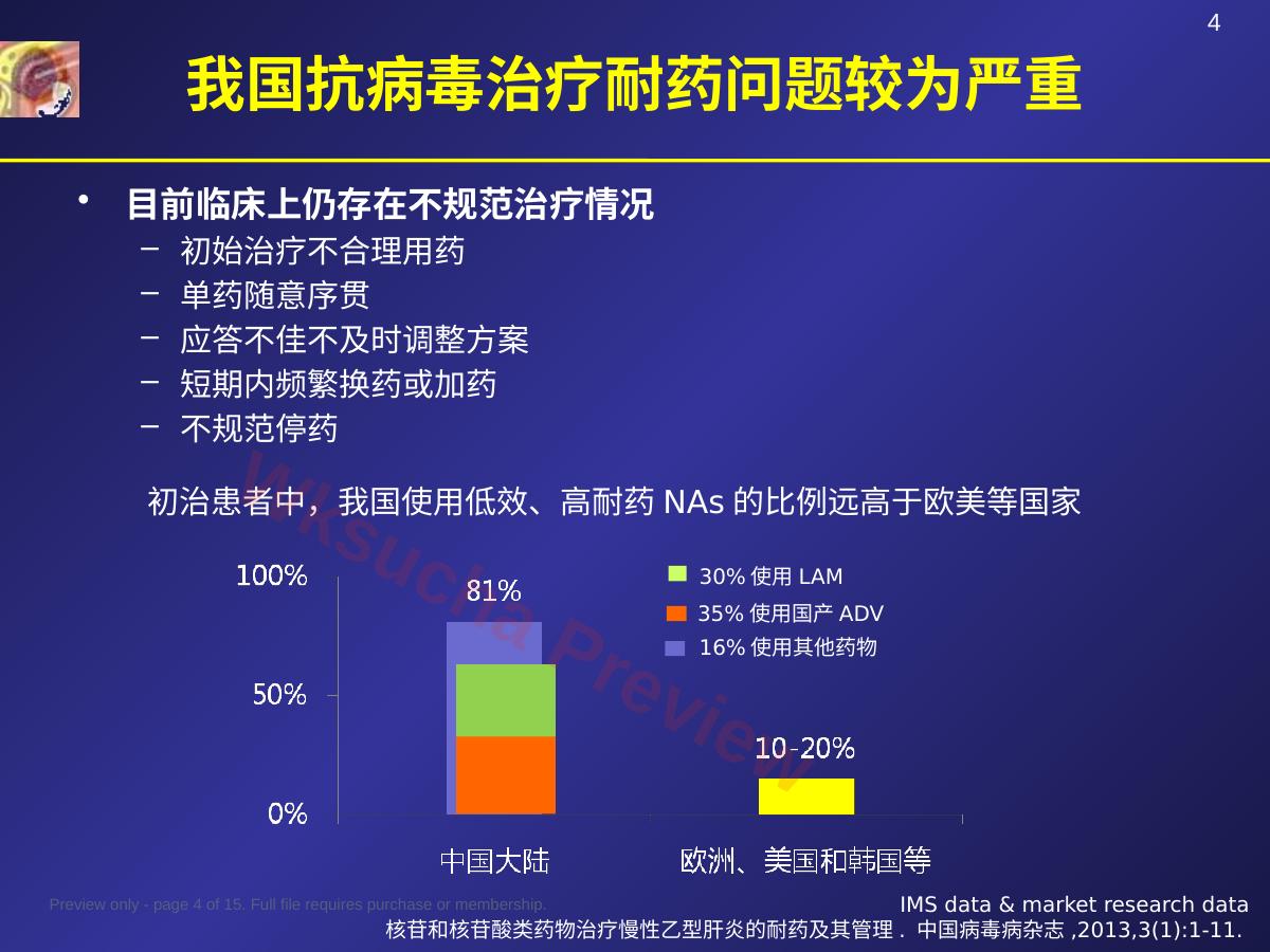 预览第 4 页