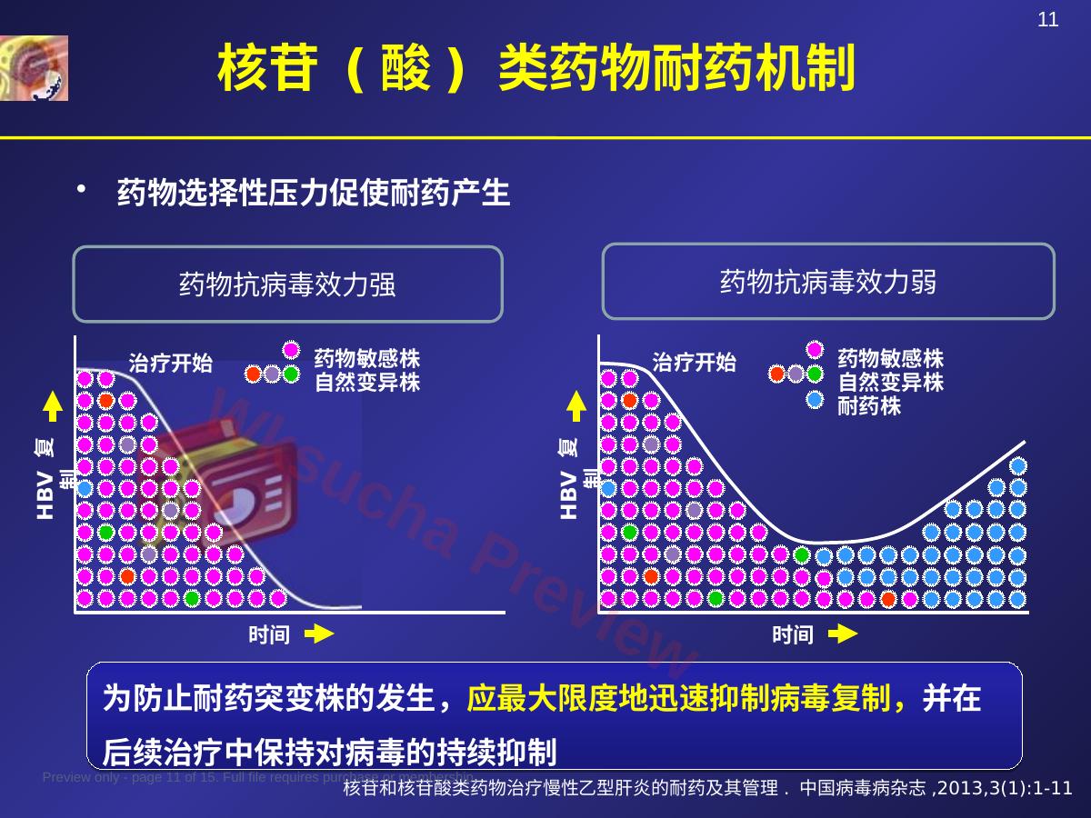 预览第 11 页
