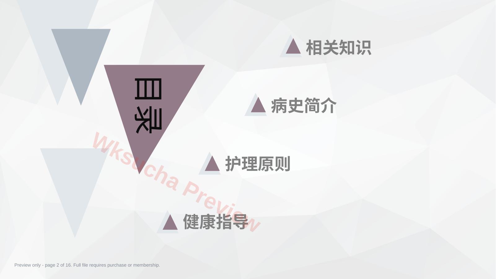 预览第 2 页