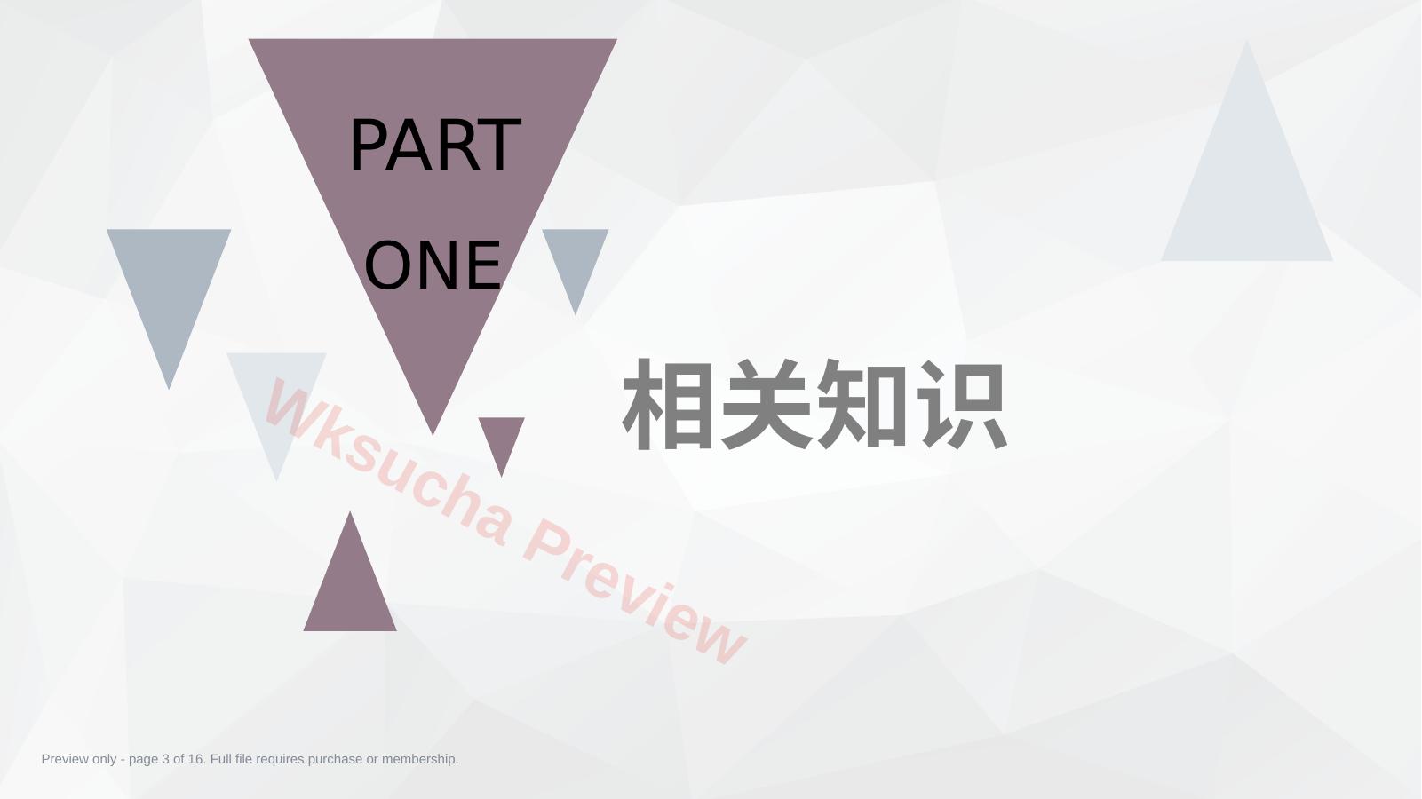 预览第 3 页