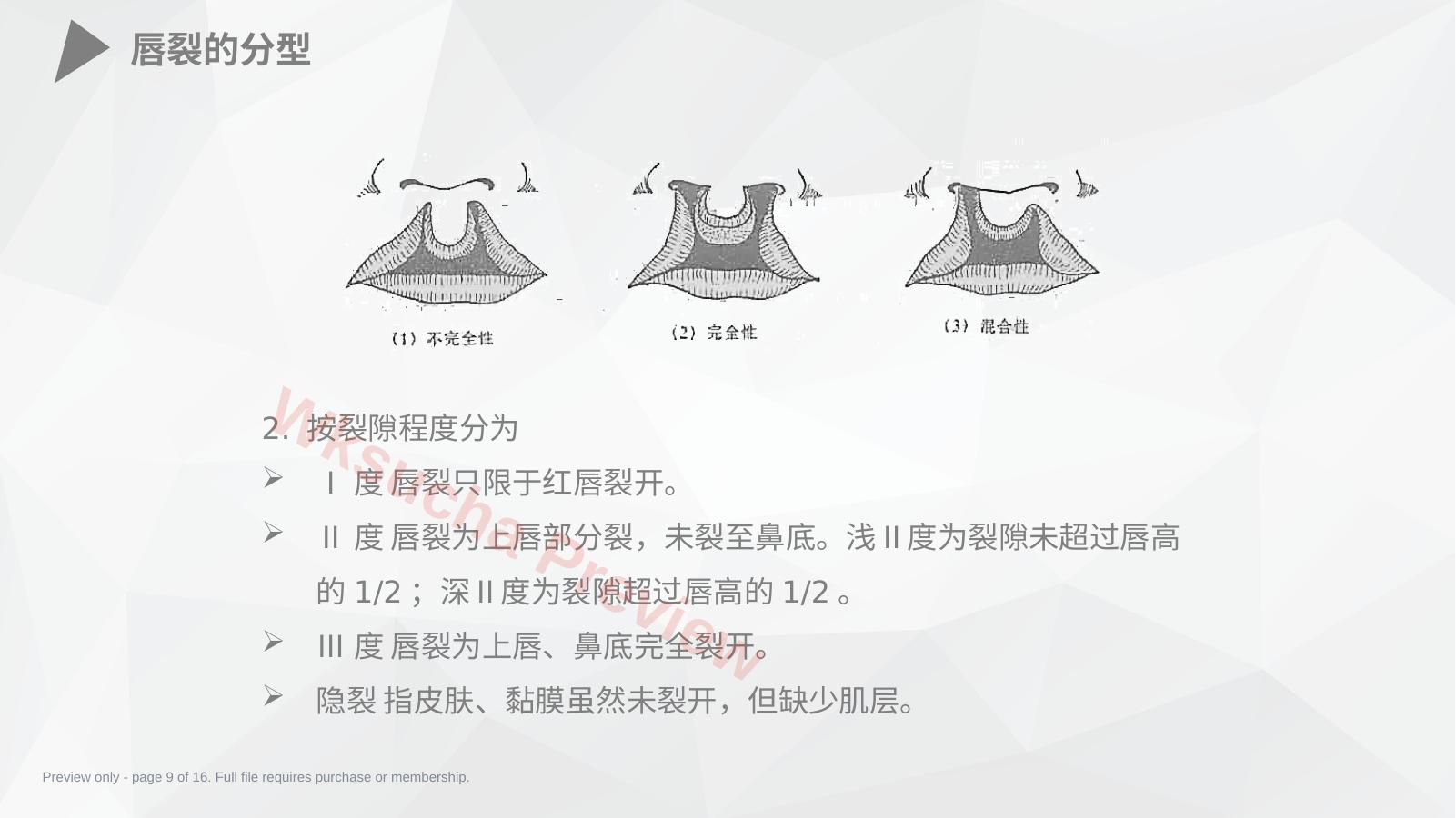 预览第 9 页