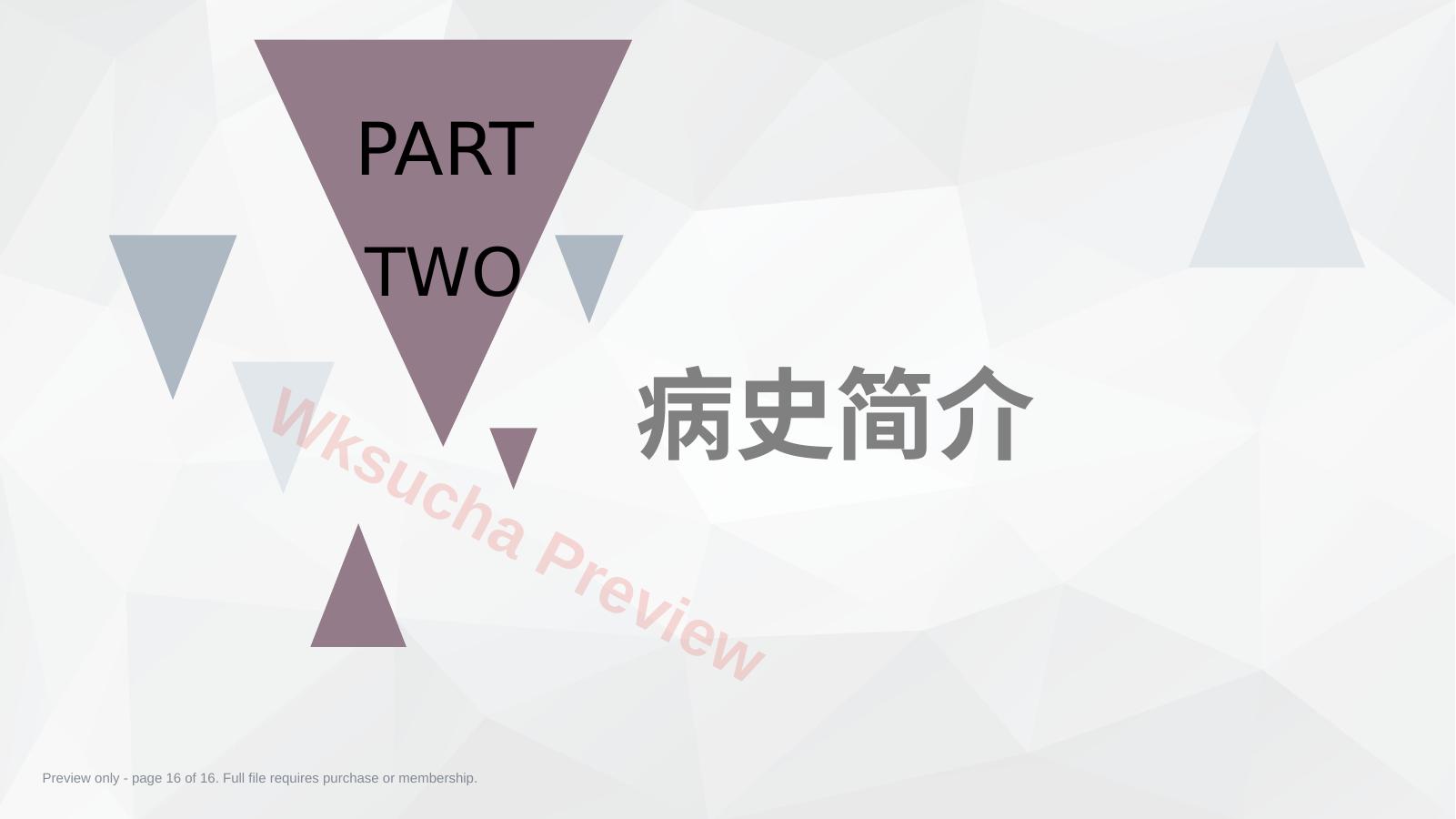 预览第 16 页