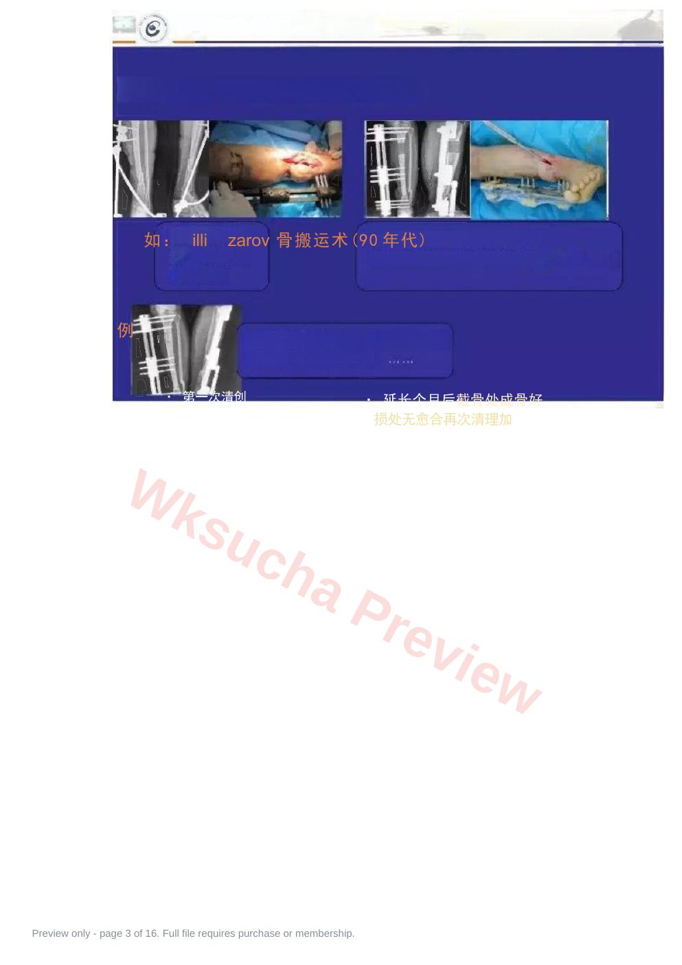 预览第 3 页