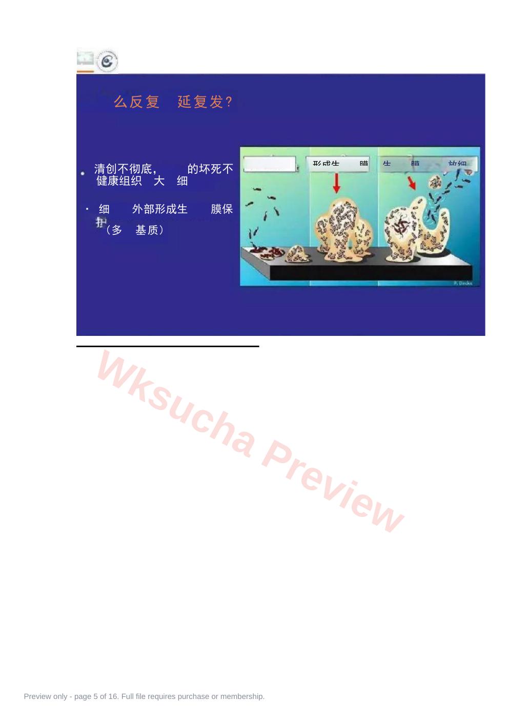 预览第 5 页