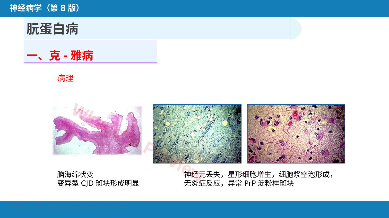 预览第 19 页