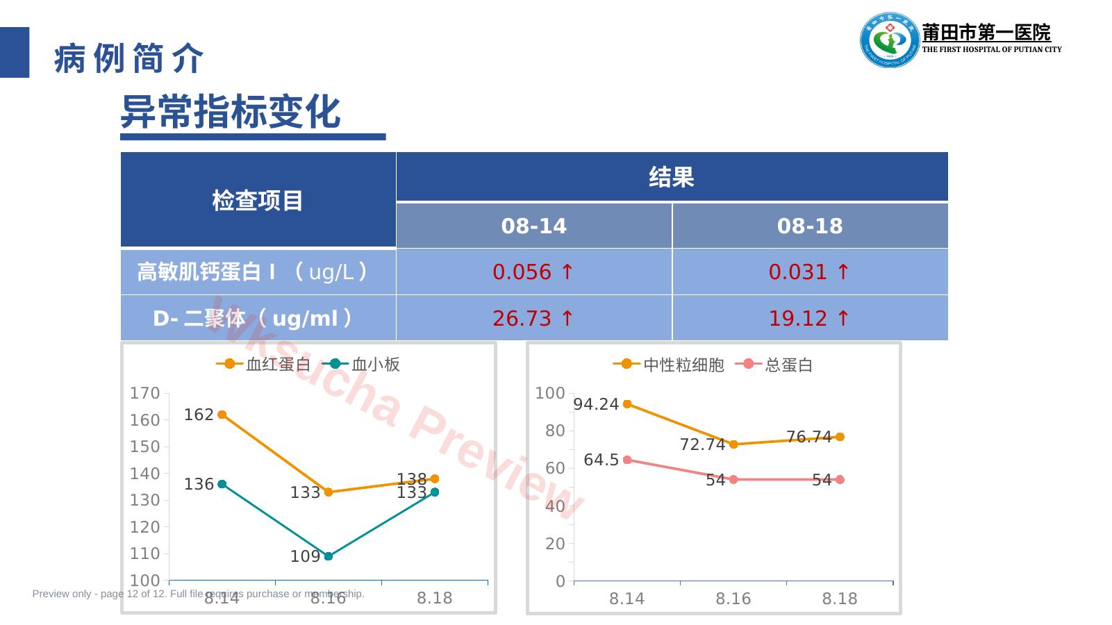 预览第 12 页
