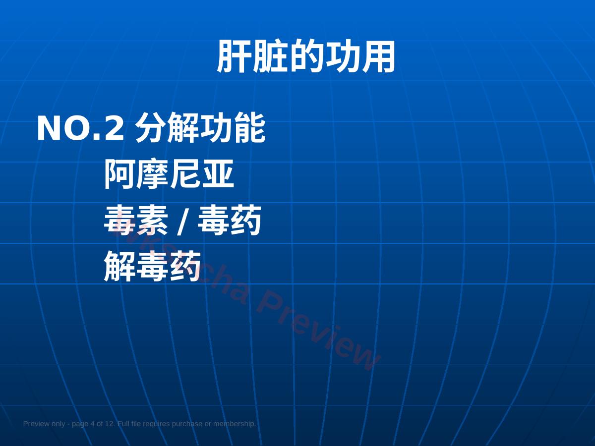 预览第 4 页