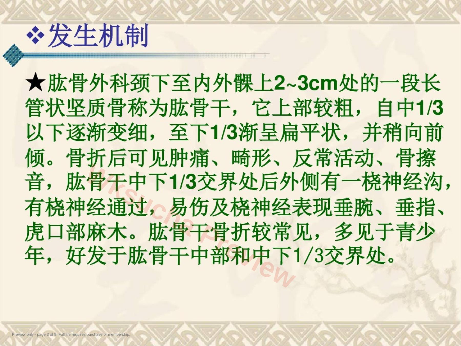 预览第 3 页