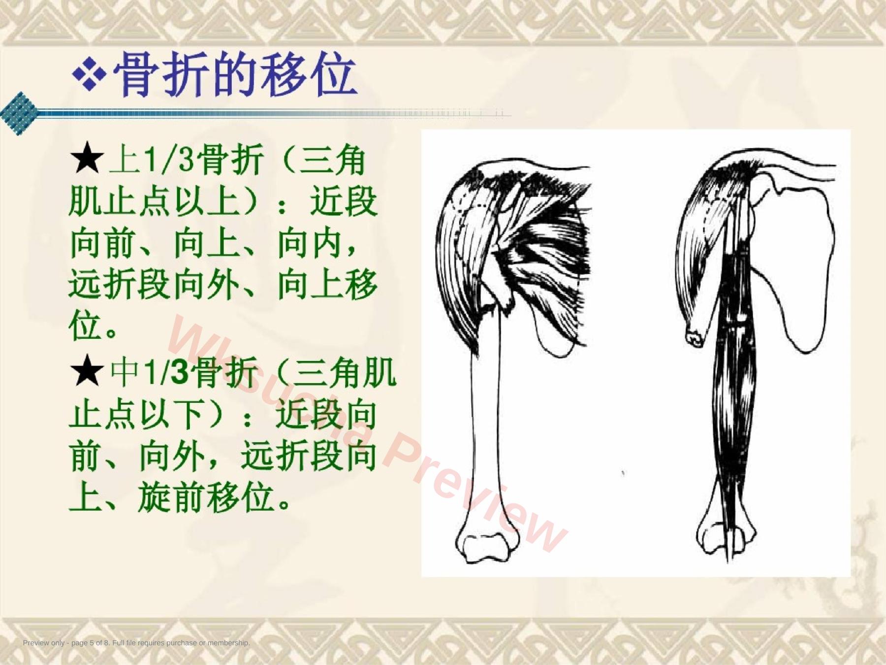 预览第 5 页