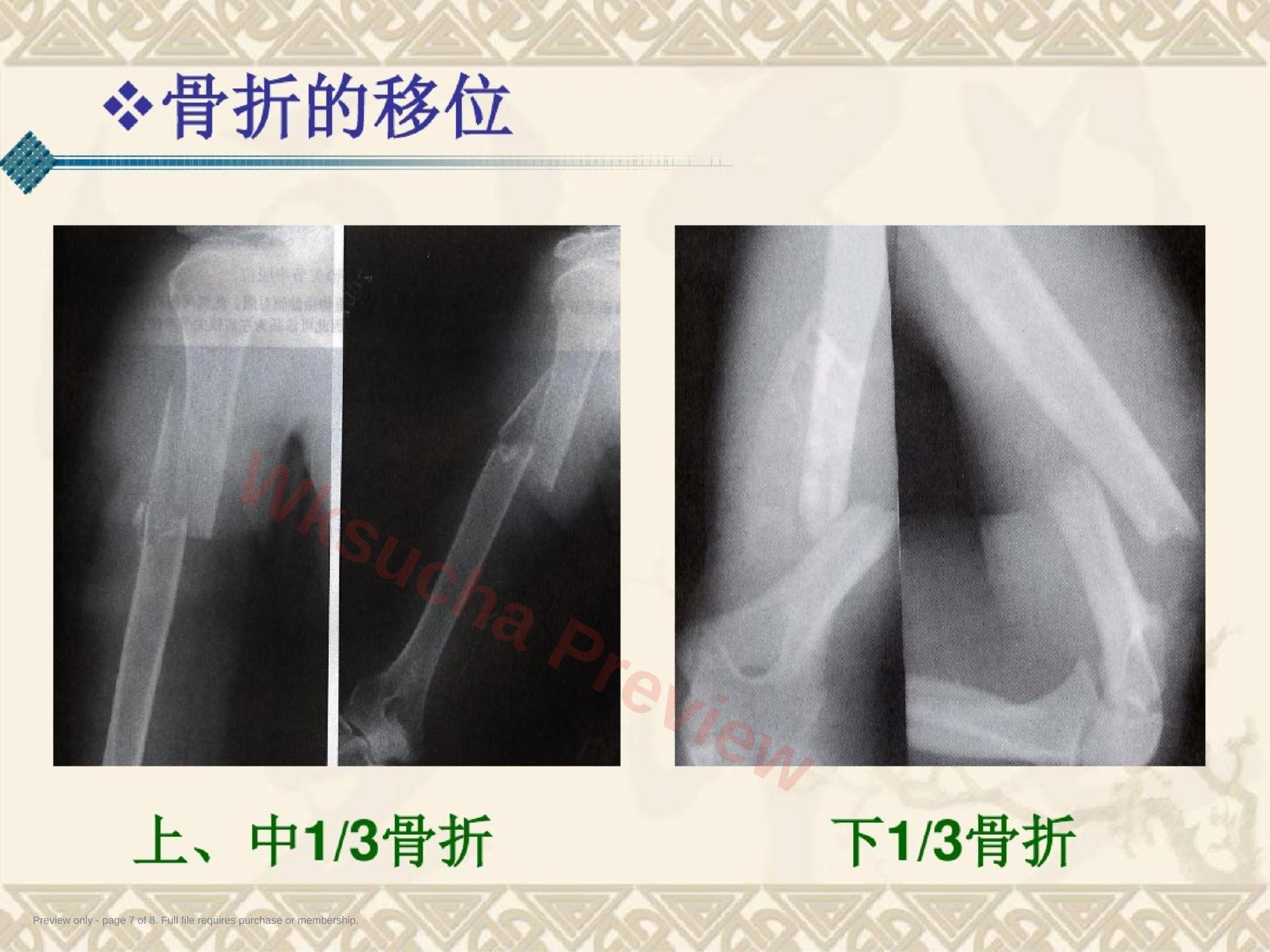 预览第 7 页
