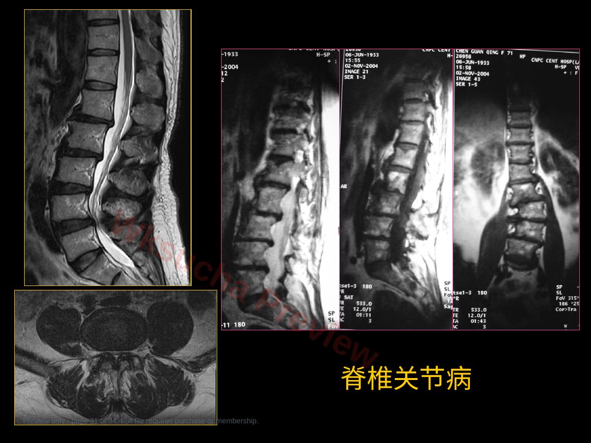 预览第 31 页