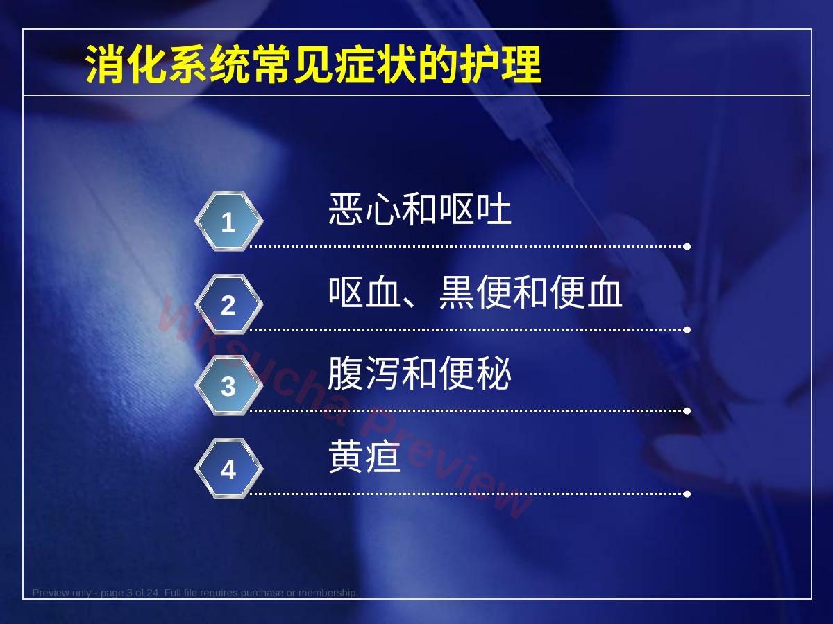预览第 3 页
