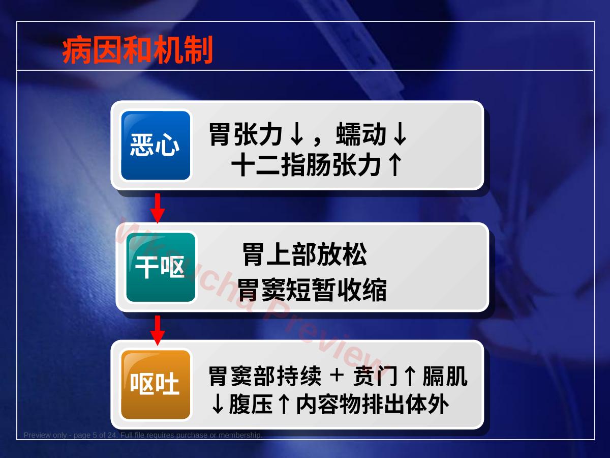 预览第 5 页