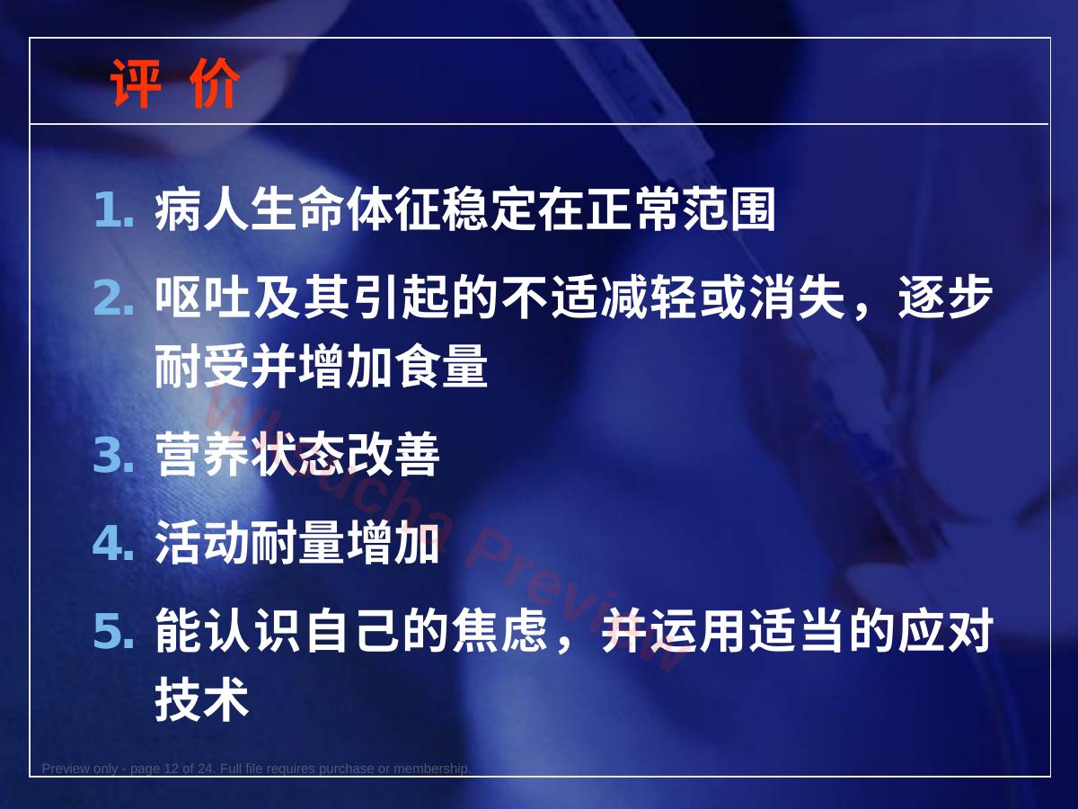 预览第 12 页