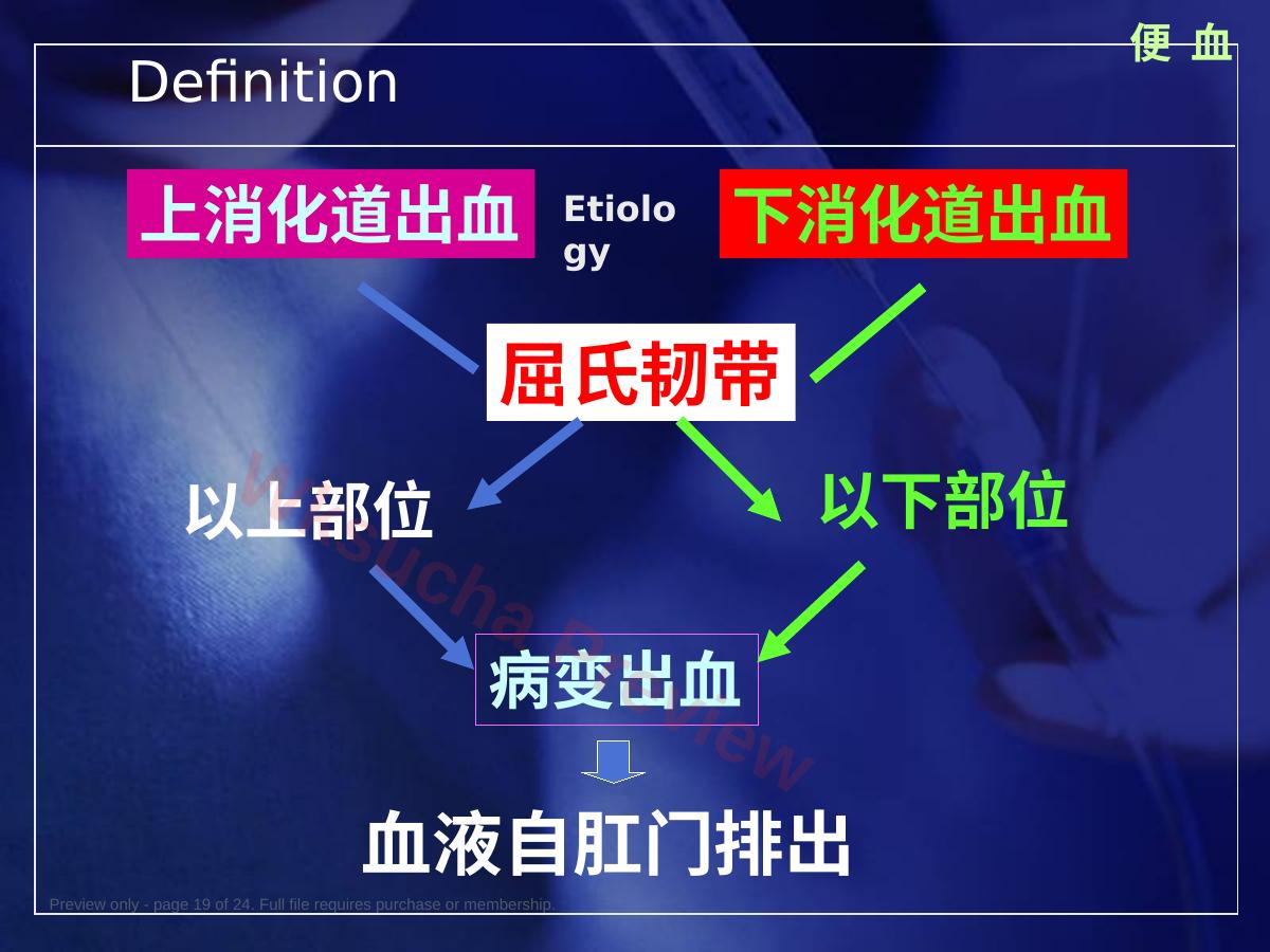 预览第 19 页