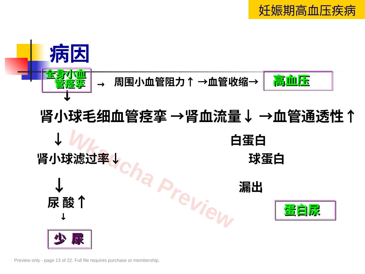 预览第 13 页