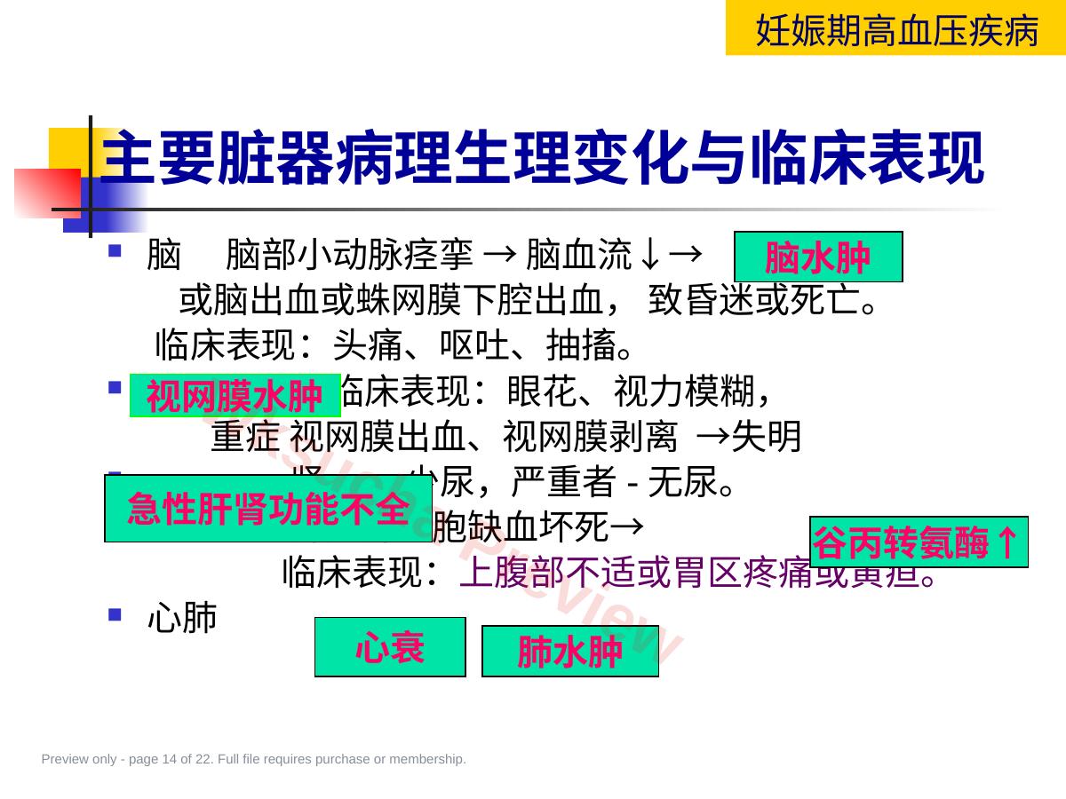 预览第 14 页