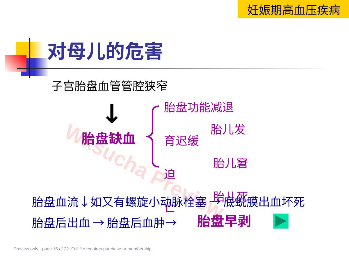 预览第 16 页