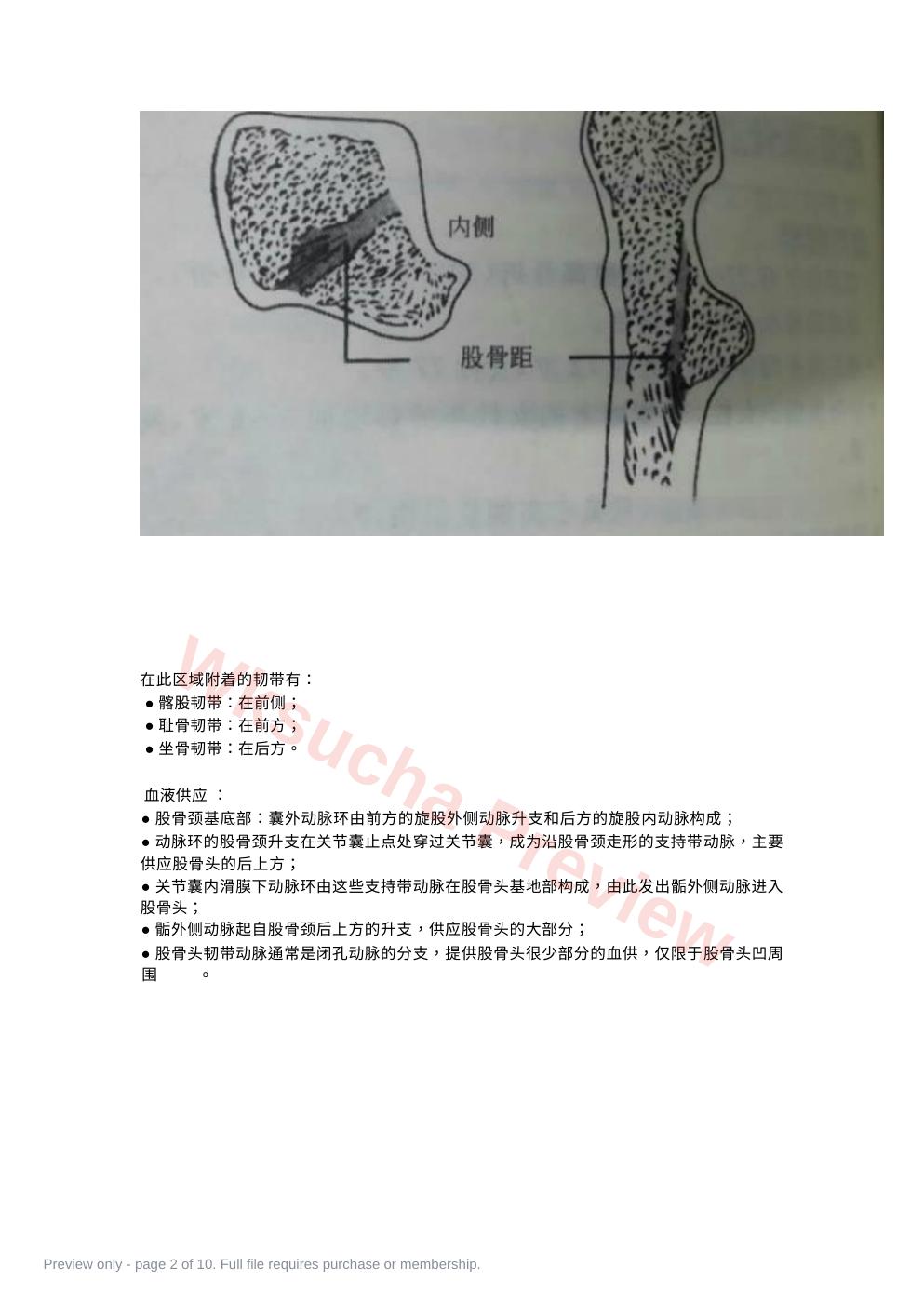 预览第 2 页